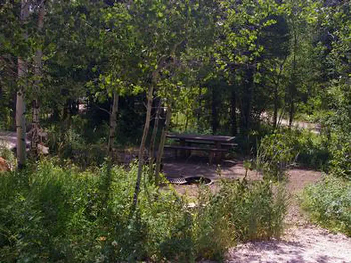 PARIS SPRINGS CAMPGROUND photo 5