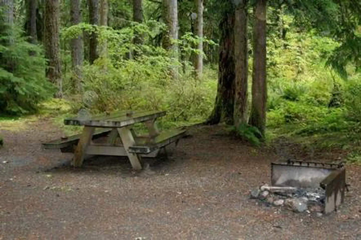 Park Creek Campground photo