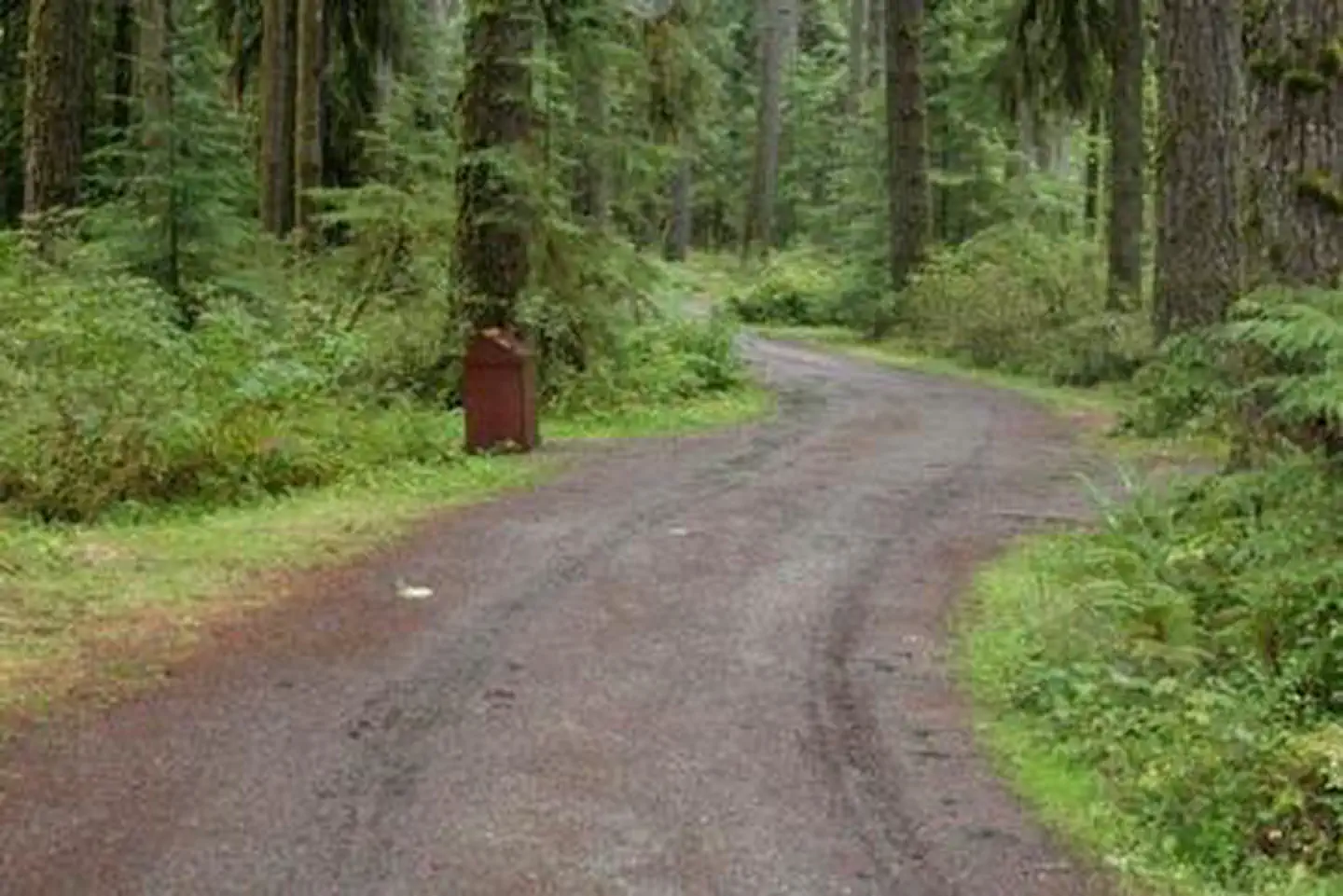Park Creek Campground photo 2