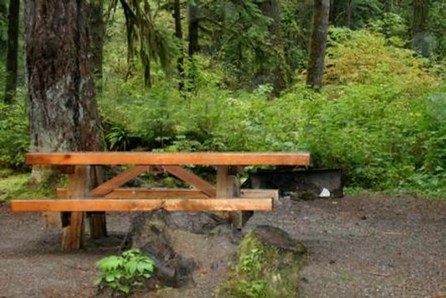 Park Creek Campground photo 3