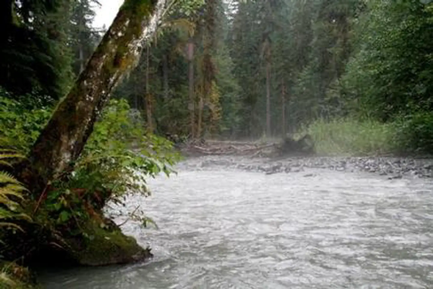 Park Creek Campground photo 5