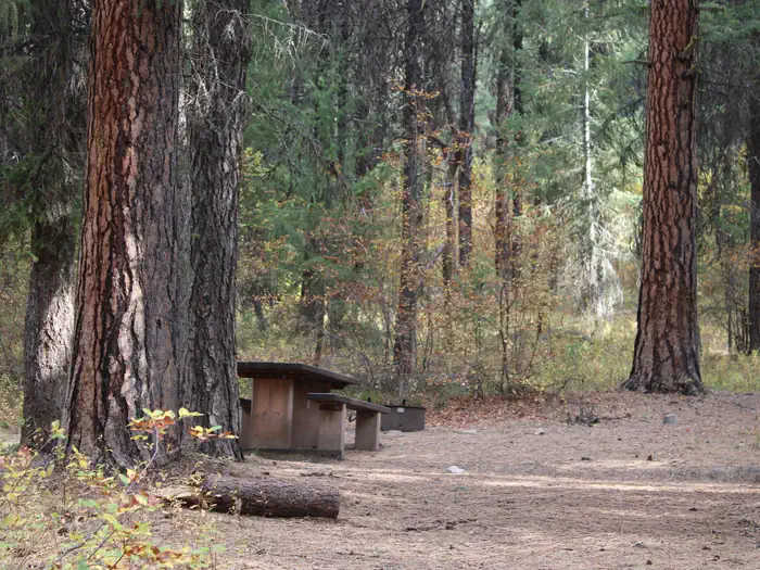 PARK CREEK (IDAHO) photo 2