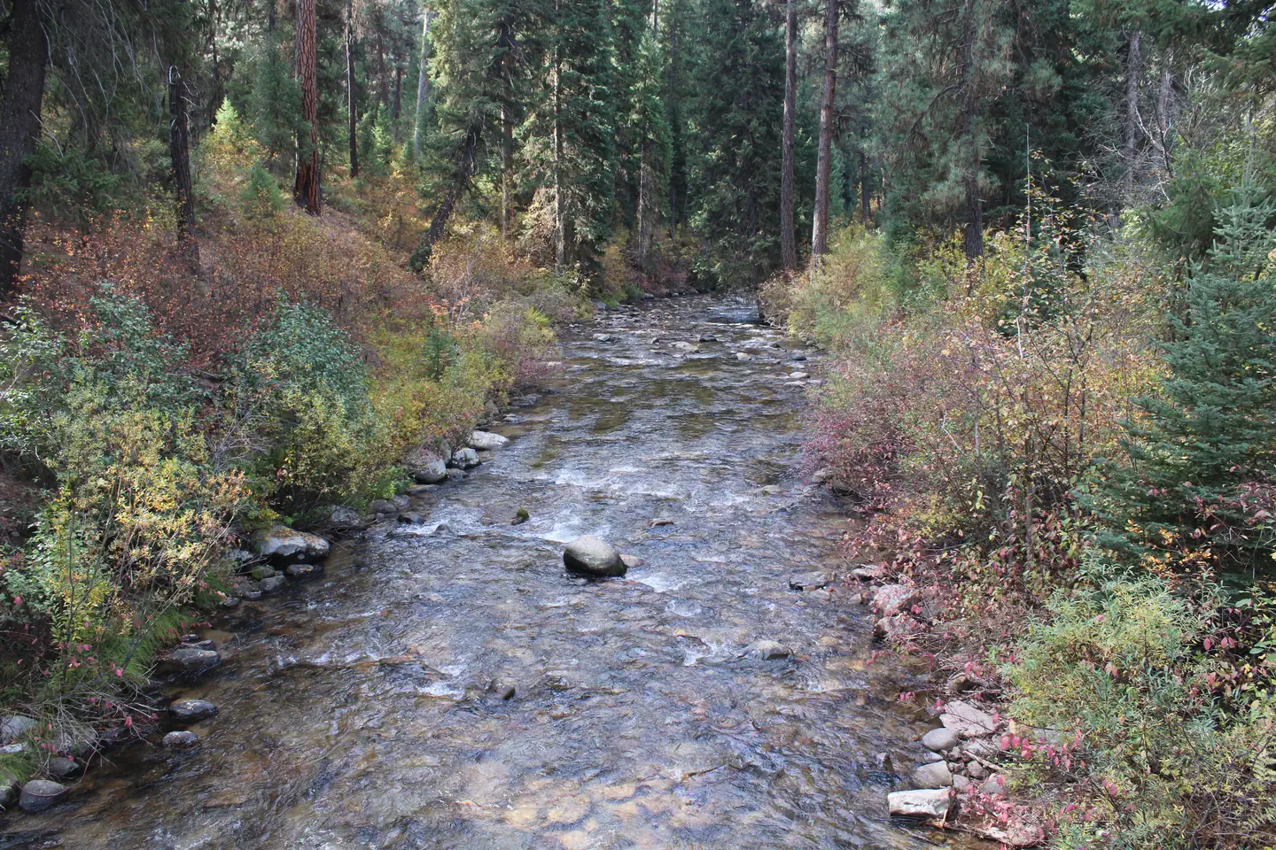 PARK CREEK (IDAHO) photo 3