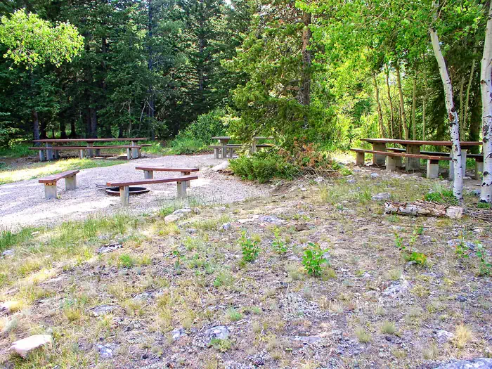 PARKSIDE photo 2