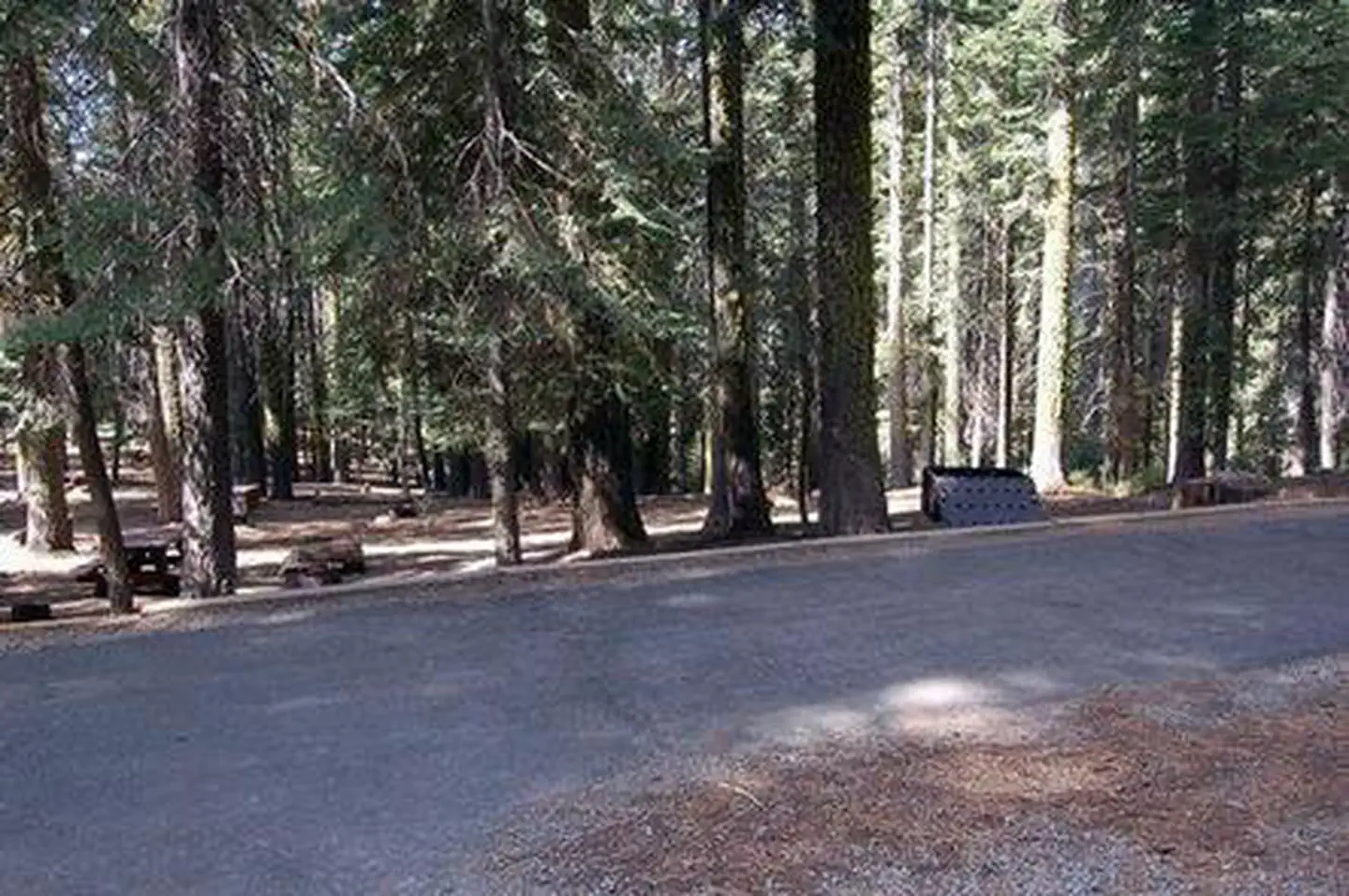 PASS CREEK CAMPGROUND photo 4