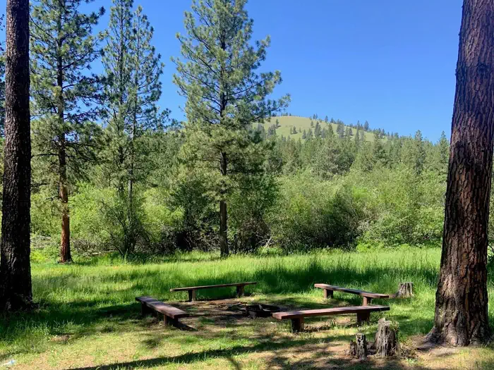 PATTEE CANYON PICNIC AREA photo 2