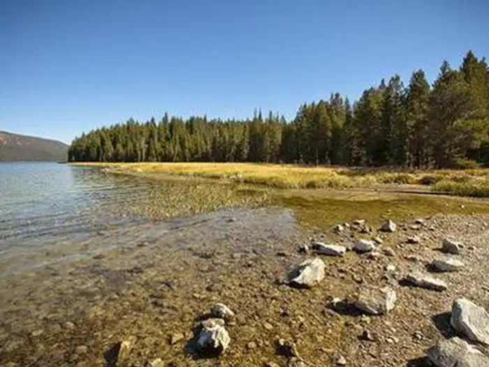 Paulina Lake Campground photo 2