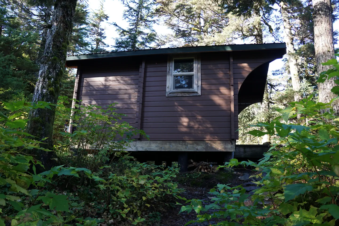 PAULSON BAY CABIN photo 5