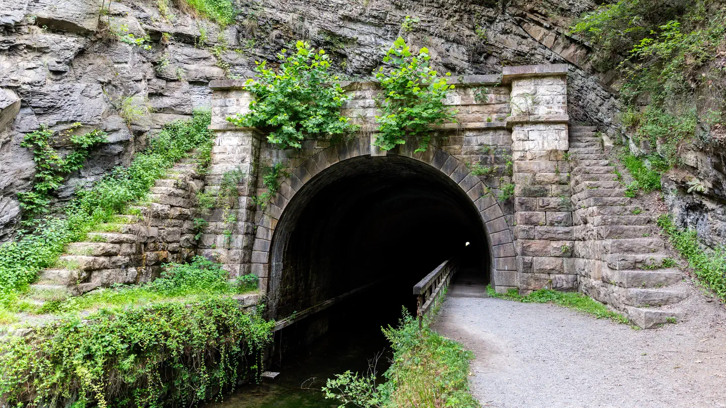 Paw Paw Tunnel Campsite photo