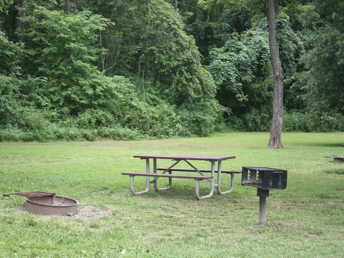 Paw Paw Tunnel Campsite photo 4