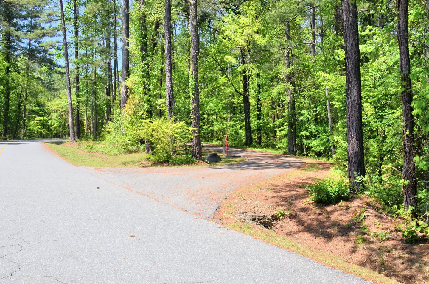 PAYNE CAMPGROUND-ALLATOONA LAKE photo 5