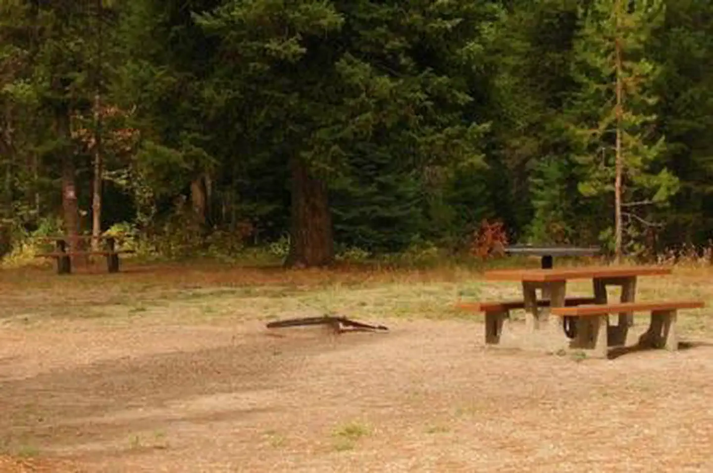 PEACE VALLEY CAMPGROUND photo 4