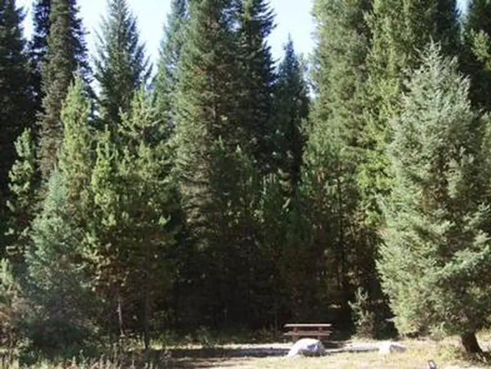 PEACE VALLEY CAMPGROUND photo 5