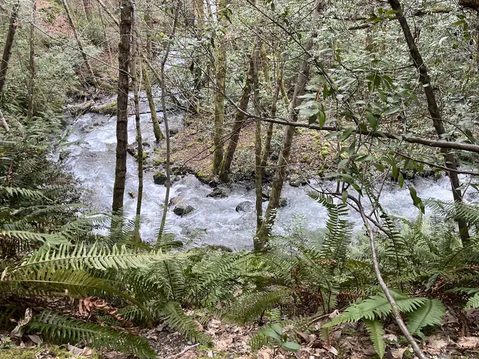 PEARCH CREEK CAMPGROUND photo 2