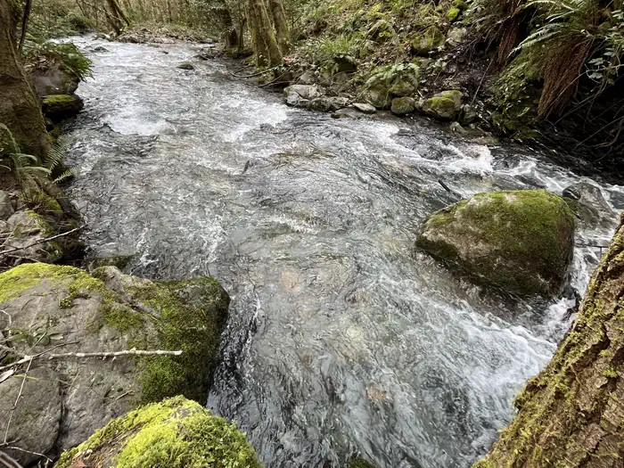 PEARCH CREEK CAMPGROUND photo 4