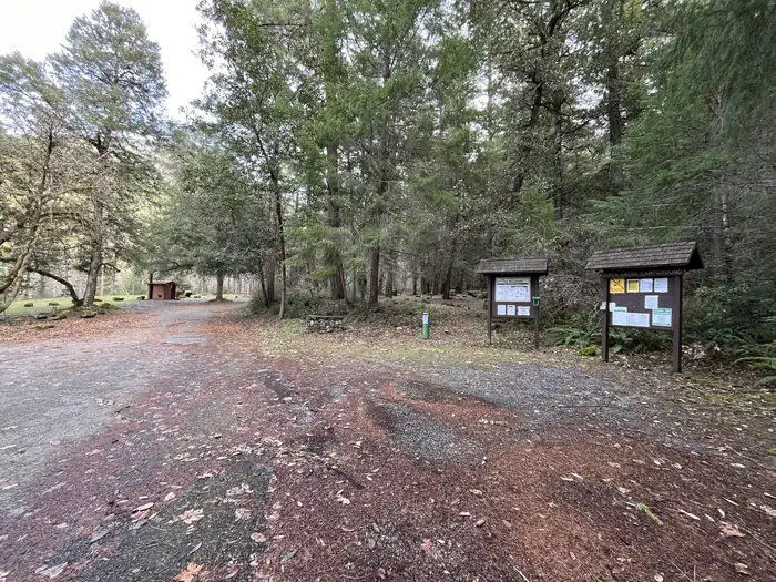 PEARCH CREEK CAMPGROUND photo 5