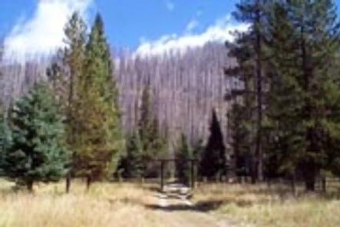 PEAVY CABIN photo 2