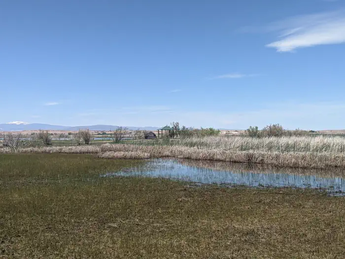 Pelican Lake Campground photo 5