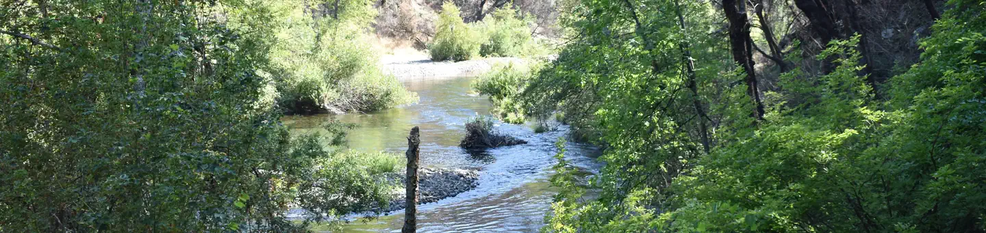 PELTIER BRIDGE PRIMITIVE CAMPGROUND photo