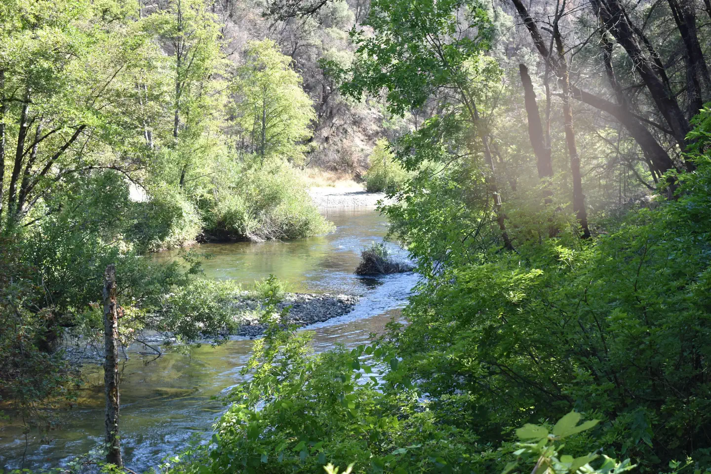 PELTIER BRIDGE PRIMITIVE CAMPGROUND photo 5