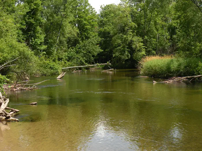 Pere Marquette National Scenic River Watercraft Permits (Huron Manistee) photo