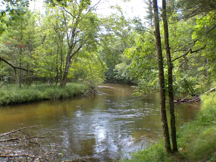 Pere Marquette National Scenic River Watercraft Permits (Huron Manistee) photo 3