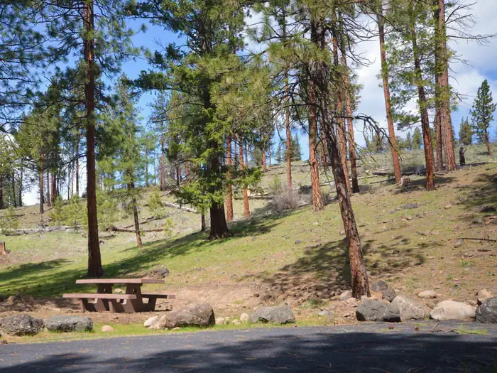 PERRY SOUTH CAMPGROUND photo 4