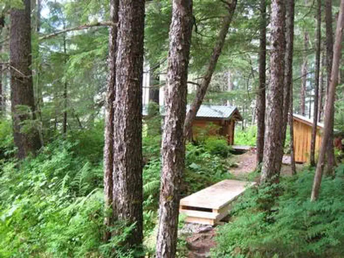 PETERSBURG LAKE CABIN photo 3