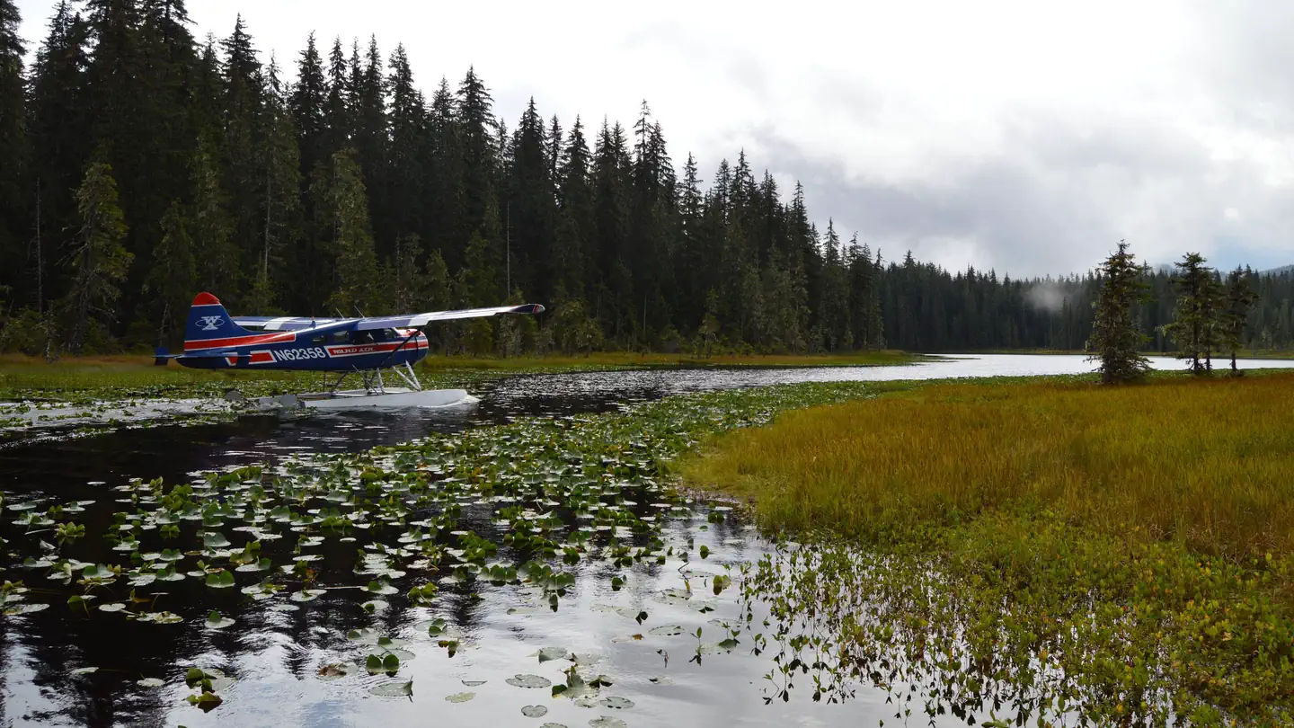 PETERSON LAKE CABIN photo