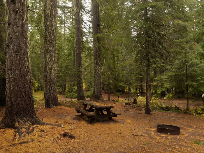 Peterson Prairie Campground photo 2