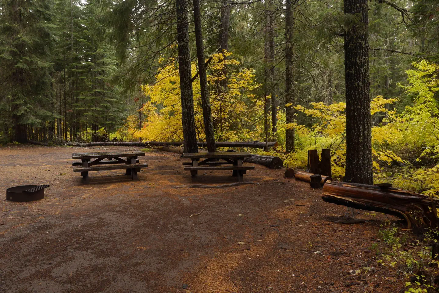 Peterson Prairie Campground photo 5