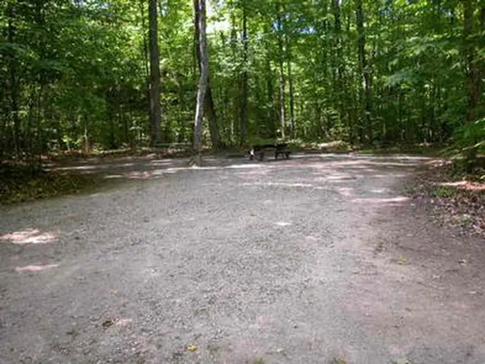 Pete’s Lake Campground photo 2