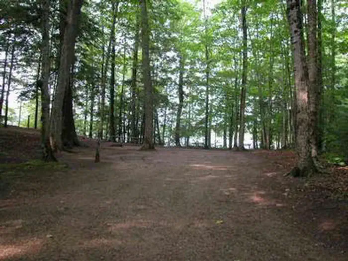 Pete’s Lake Campground photo 3