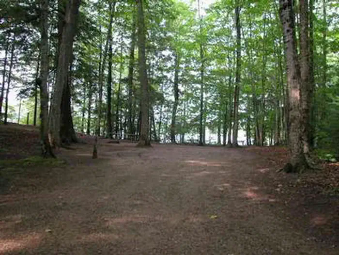 Pete’s Lake Campground photo 5