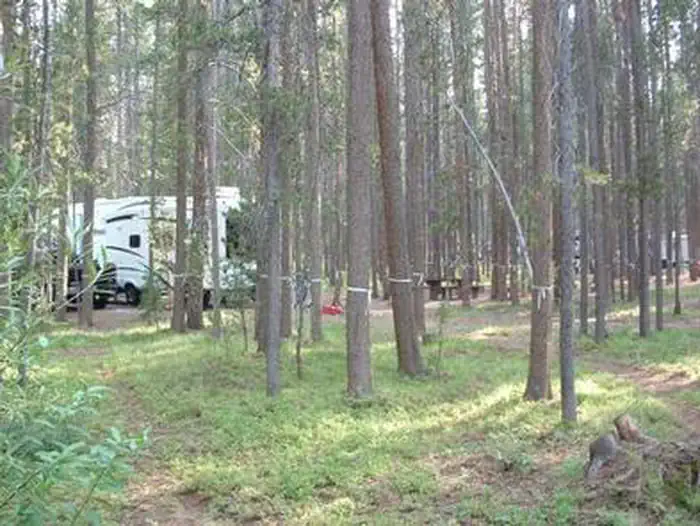 PHILIPSBURG BAY CAMPGROUND photo 5