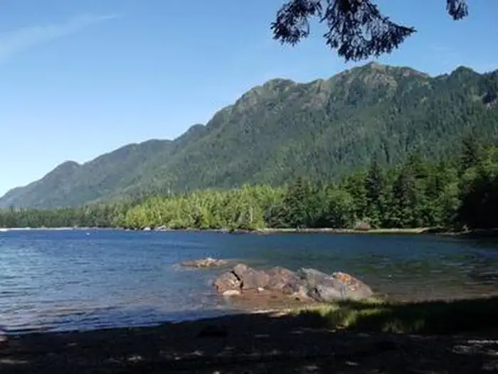 PHOCENA BAY CABIN photo 5