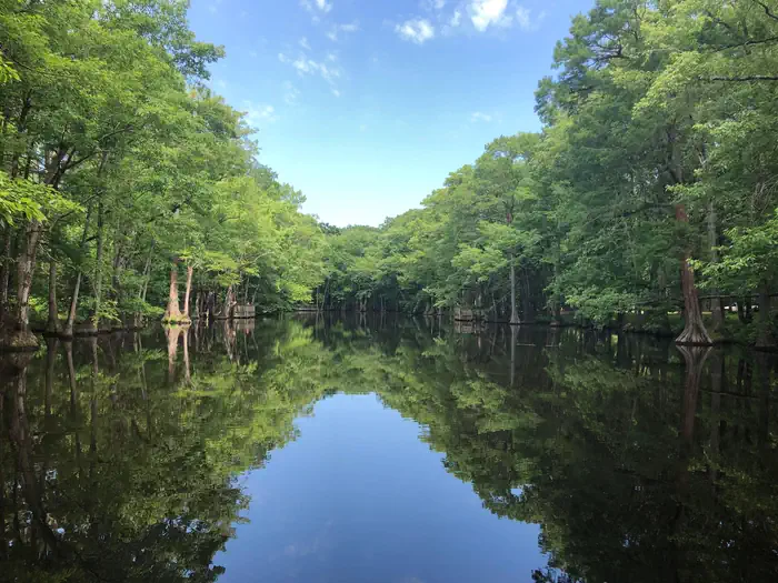 PICKENSVILLE CG (PICKENSVILLE AL) photo 4