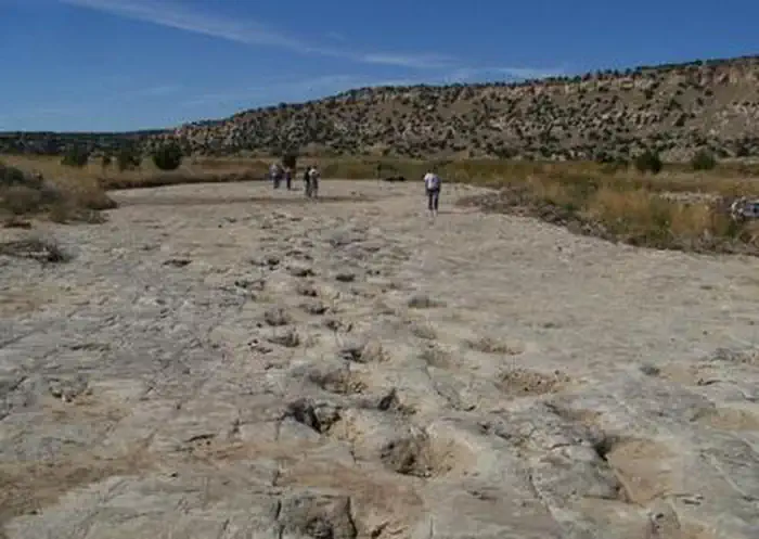 Picket Wire Canyonlands Guided Auto Tour photo 2