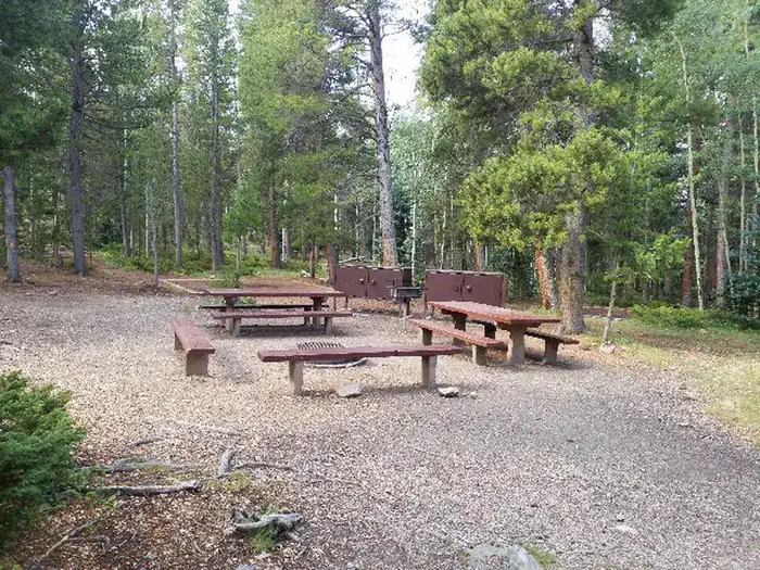 PICKLE GULCH photo 2