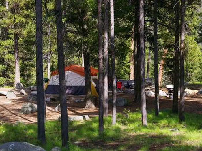 PICNIC POINT (ID) photo 3