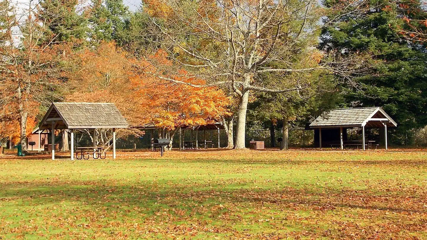 Picnic Vista photo