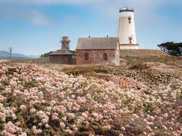 Piedras Blancas Light Station photo 2
