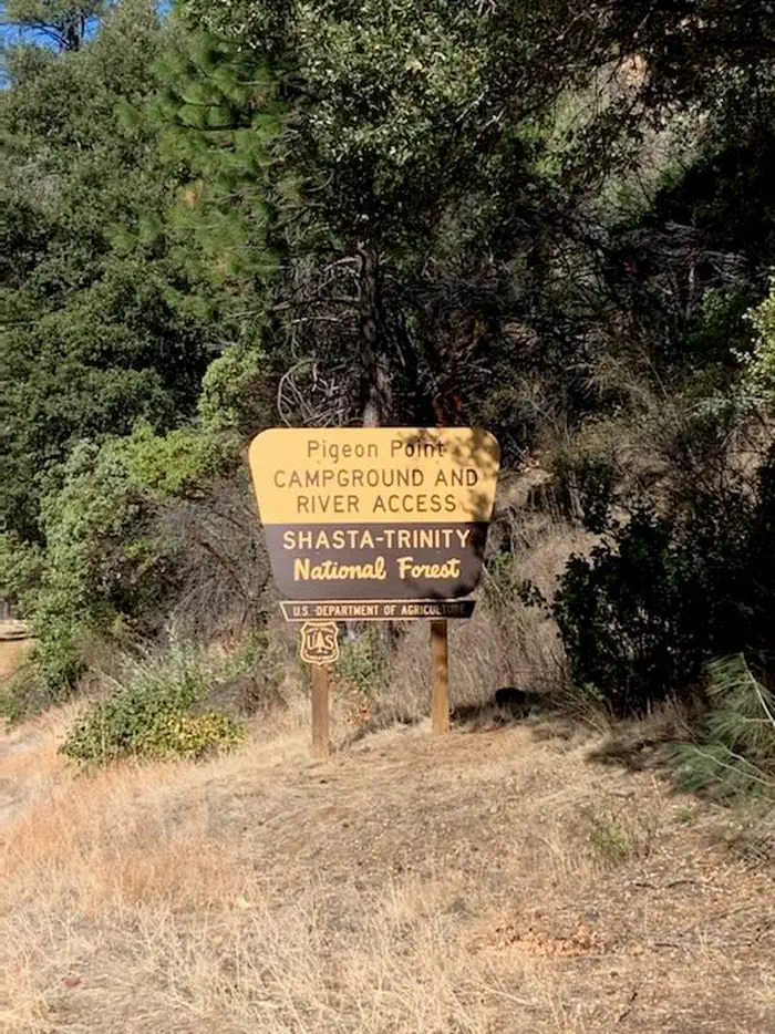 Pigeon Point Group Campground photo 2