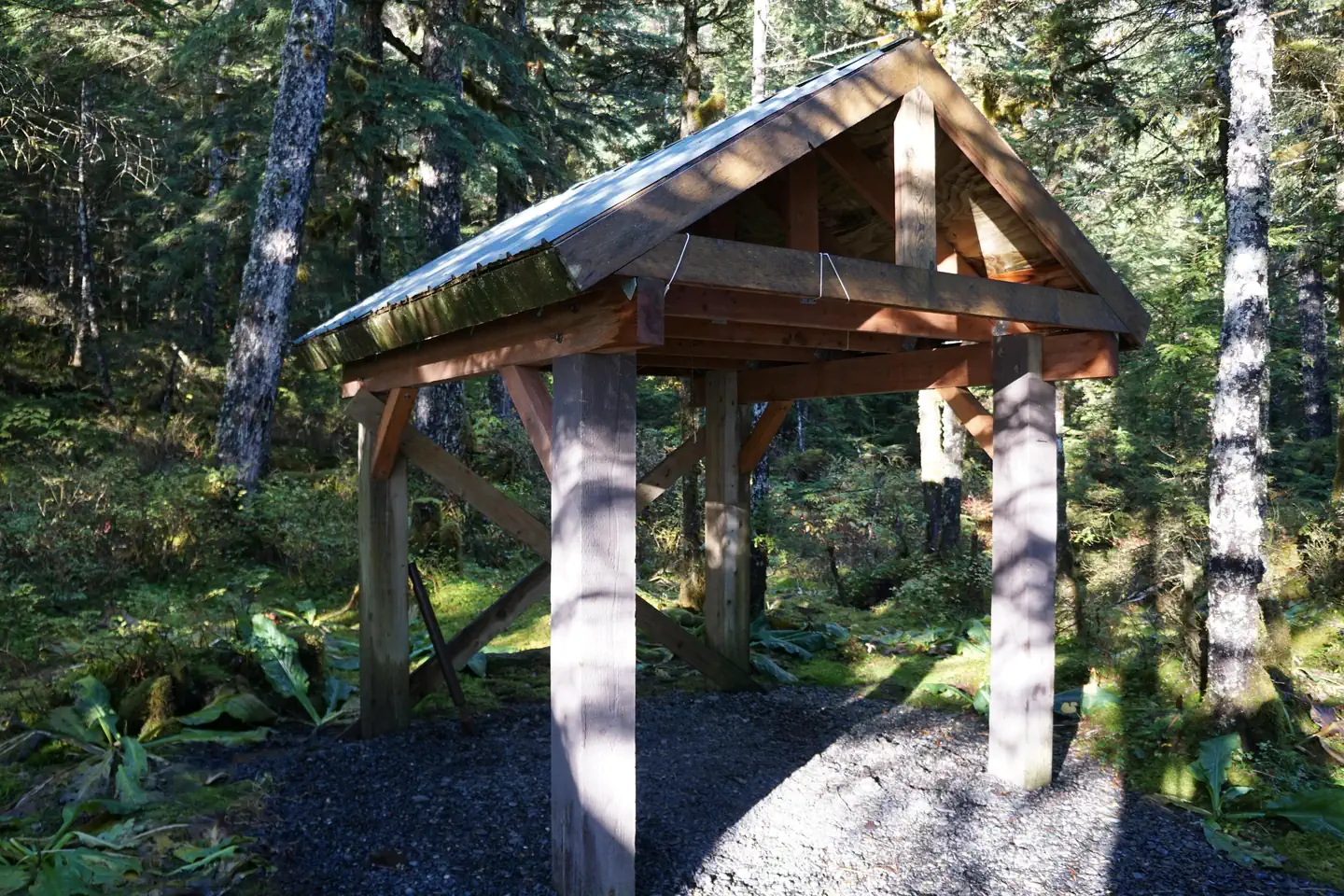 PIGOT BAY CABIN photo 3