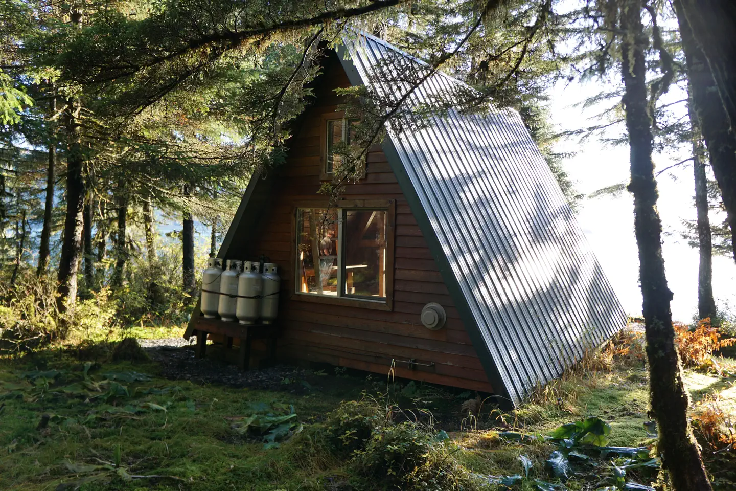 PIGOT BAY CABIN photo 5