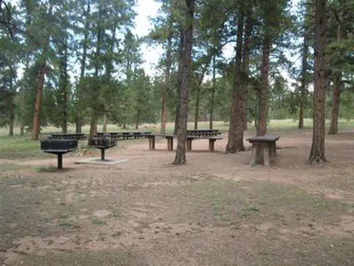 PIKE COMMUNITY photo 2