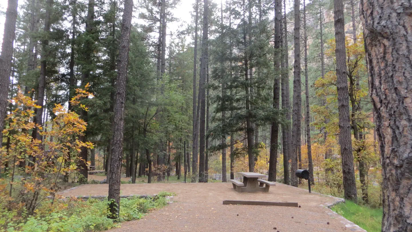 PINE FLAT CAMPGROUND WEST photo