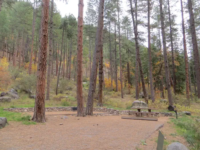 PINE FLAT CAMPGROUND WEST photo 5
