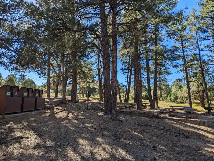 PINE FLAT PICNIC SITES - A and B photo 2