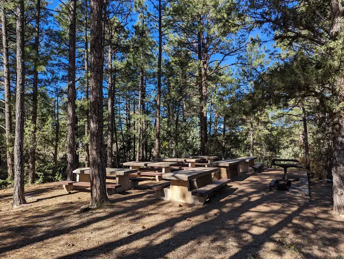 PINE FLAT PICNIC SITES - A and B photo 5